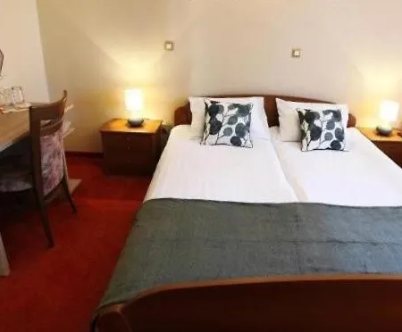 Risnik Guest house *
