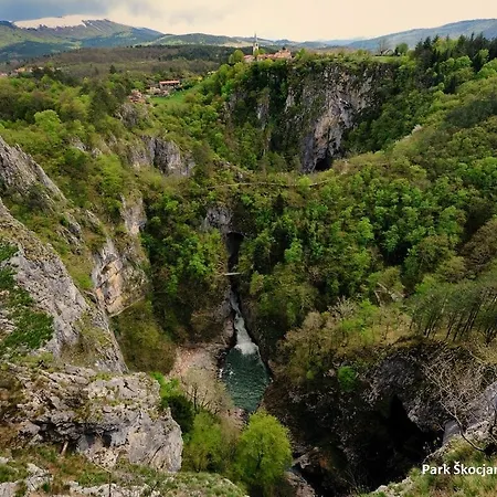 Risnik *
